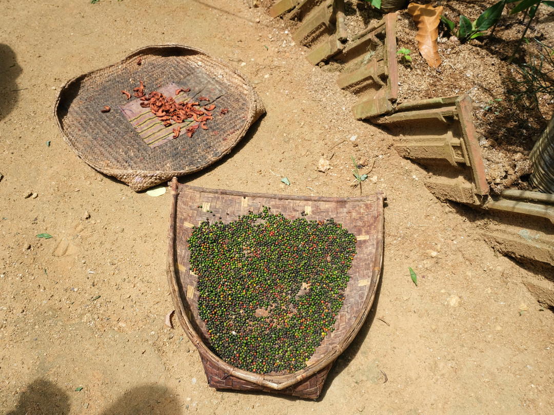 Knuckles Trail Blazers-Kandy District必去景点