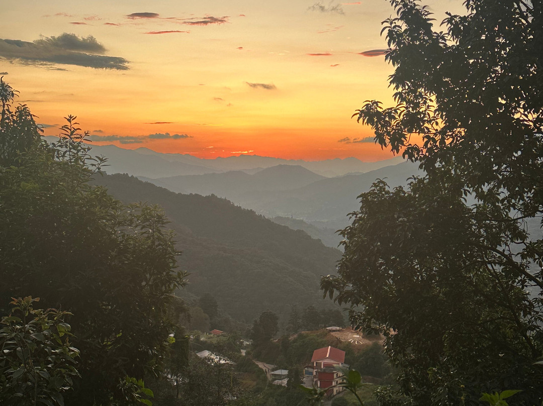 Osho Divine Zone-加德满都必去景点