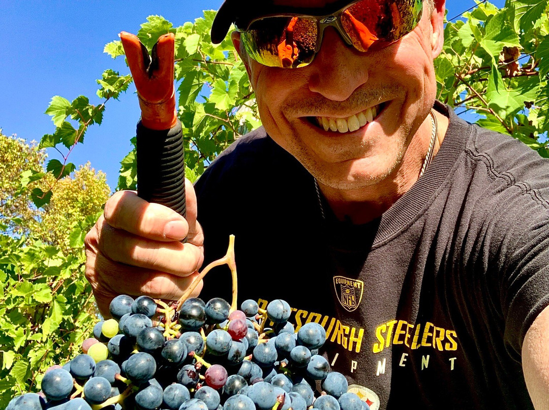 Grape Mill Vineyard and Winery-East Grand Forks必去景点