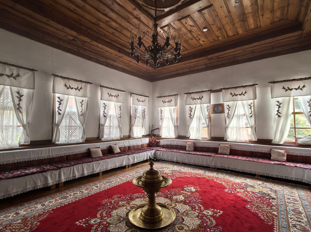 Aksemsettinoglu Konagi主图