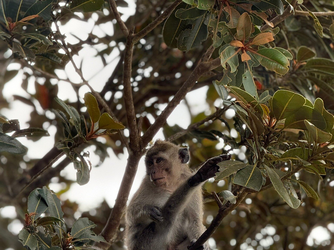 Belle Mare Tours-贝尔马尔必去景点