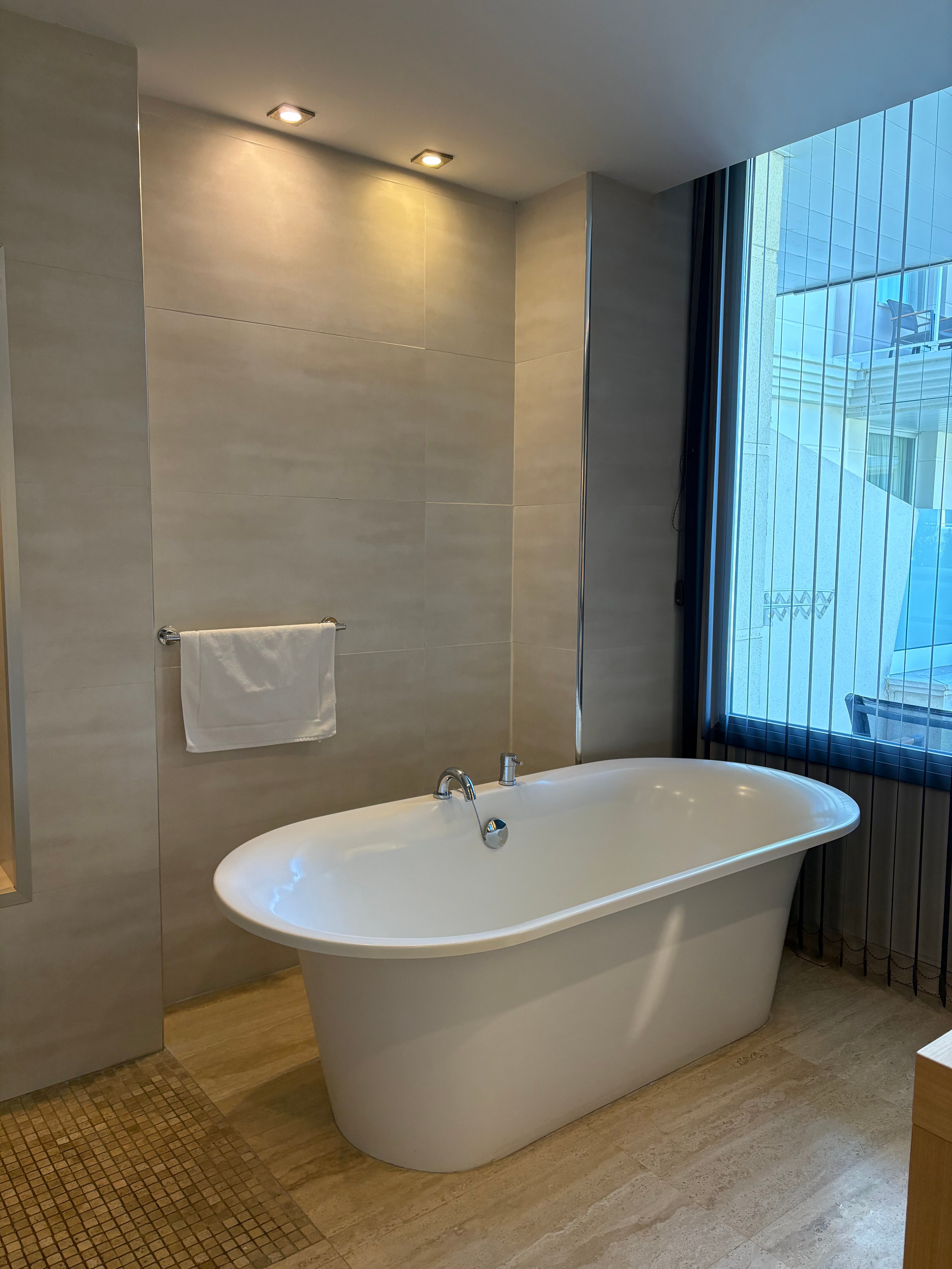 帕拉斯大酒店-浴室