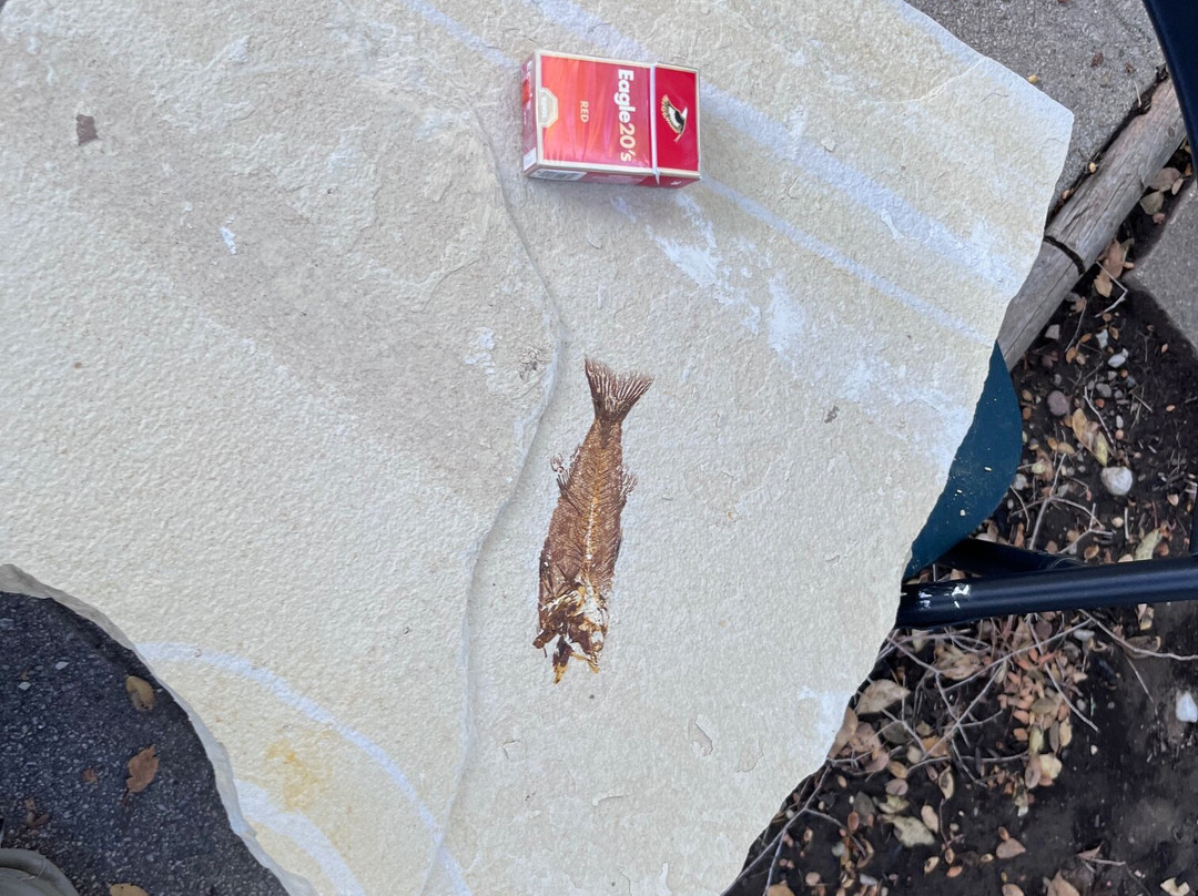 American Fossil-Kemmerer必去景点