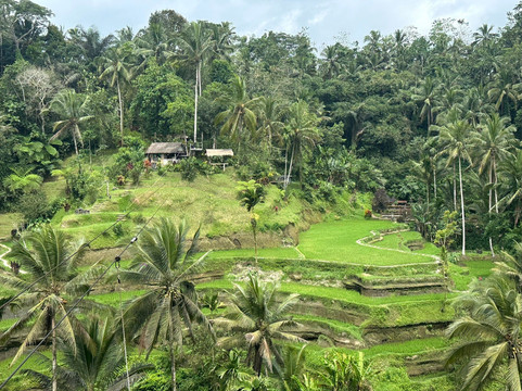 Find Bali Drivers-水明漾必去景点