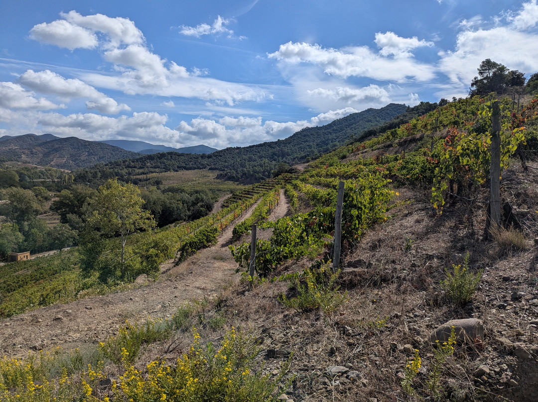 Perinet-La Morera de Montsant必去景点