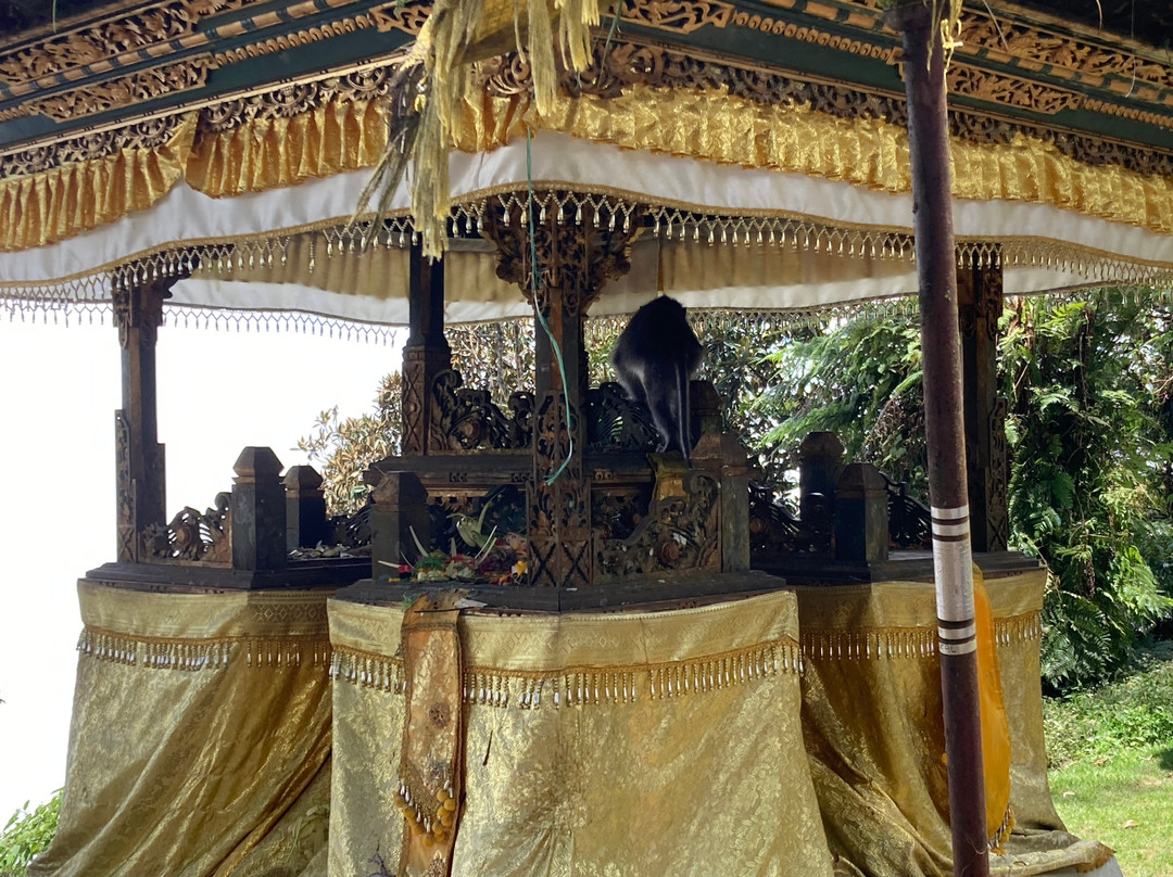 Bali Sunrise Trekking & Tours-乌布必去景点