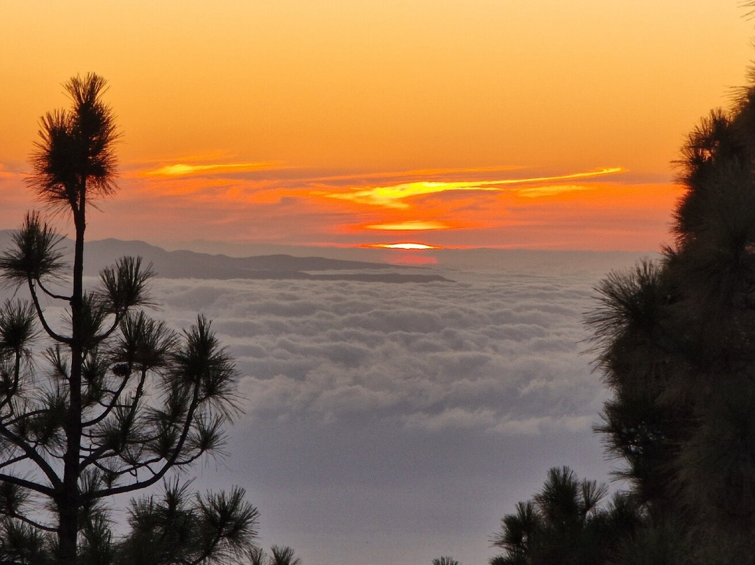 King Buggy Tenerife-Las Chafiras必去景点