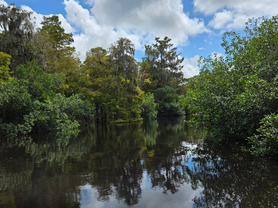 Blue Bliss Charters-朱庇特必去景点