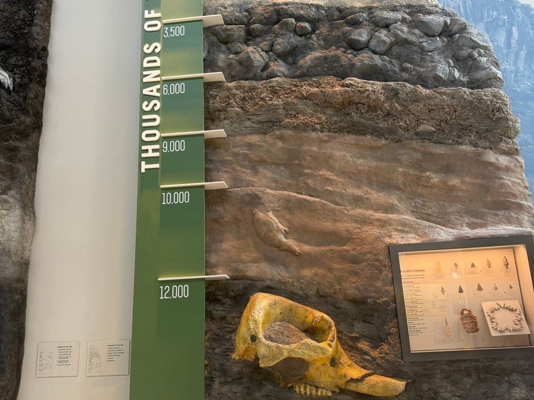 威特博物馆-圣安东尼奥市必去景点