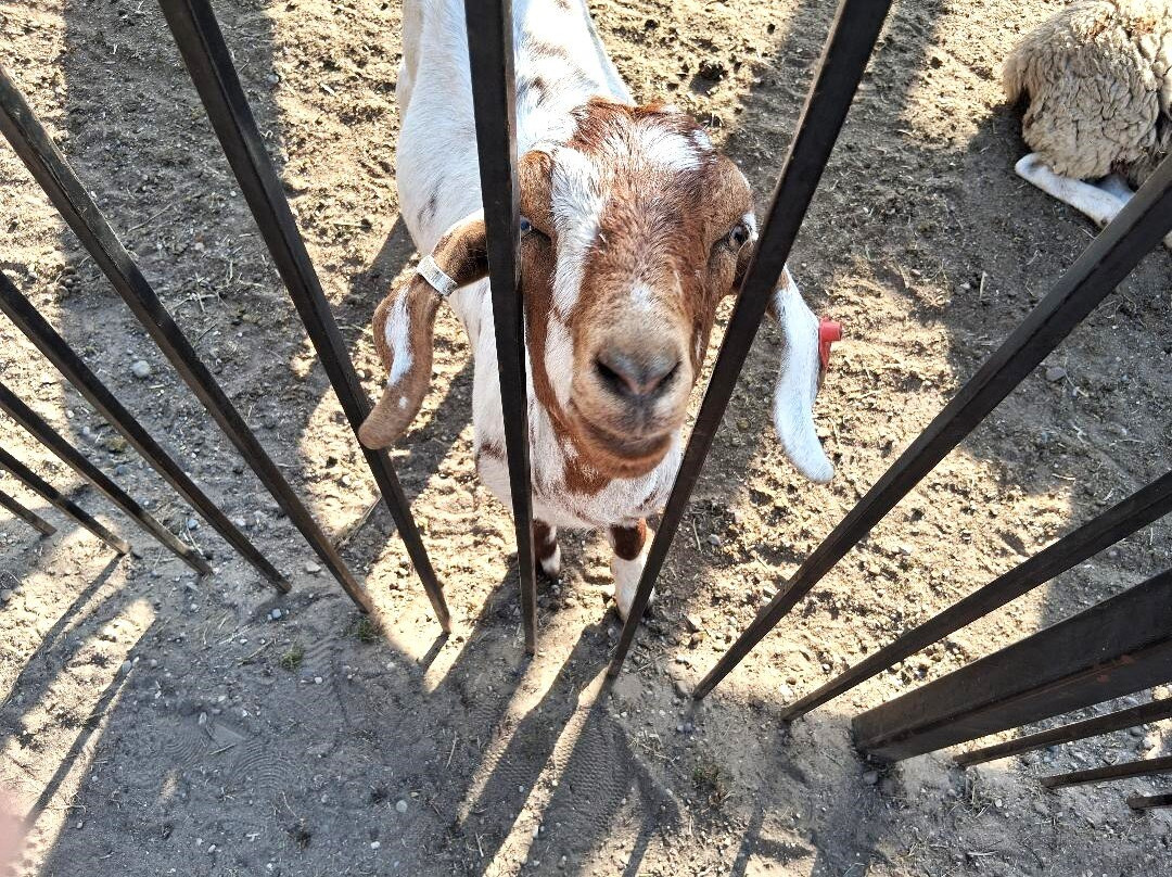 Yates Cider Mill-罗切斯特山必去景点