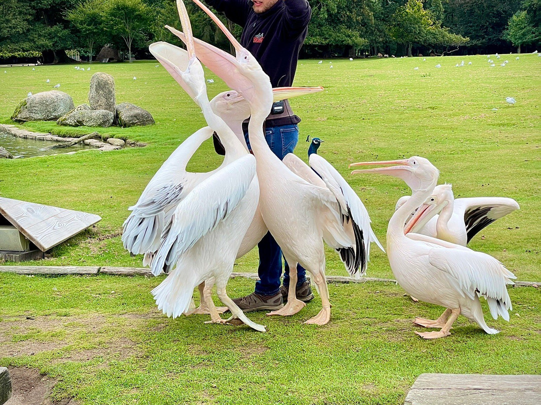 Parc Animalier et Botanique de Branféré-Le Guerno必去景点