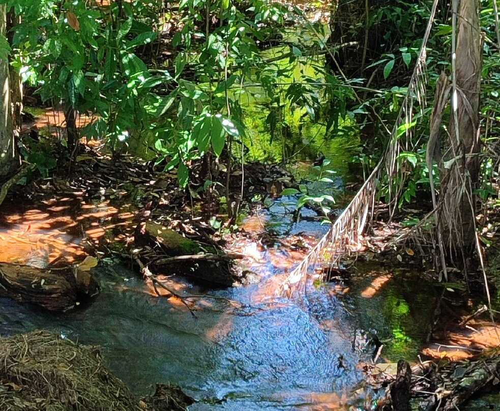 La Llovizna Park-圭亚那城必去景点