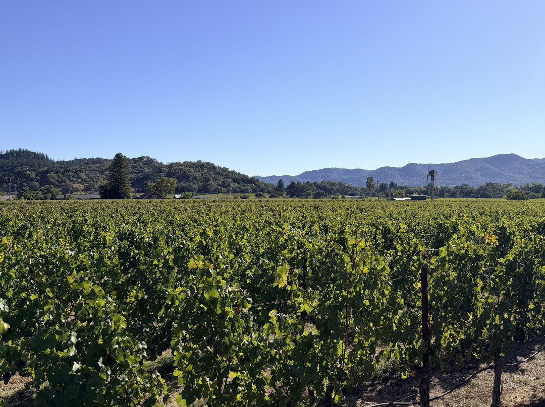 Baldacci Family Vineyards-纳帕必去景点