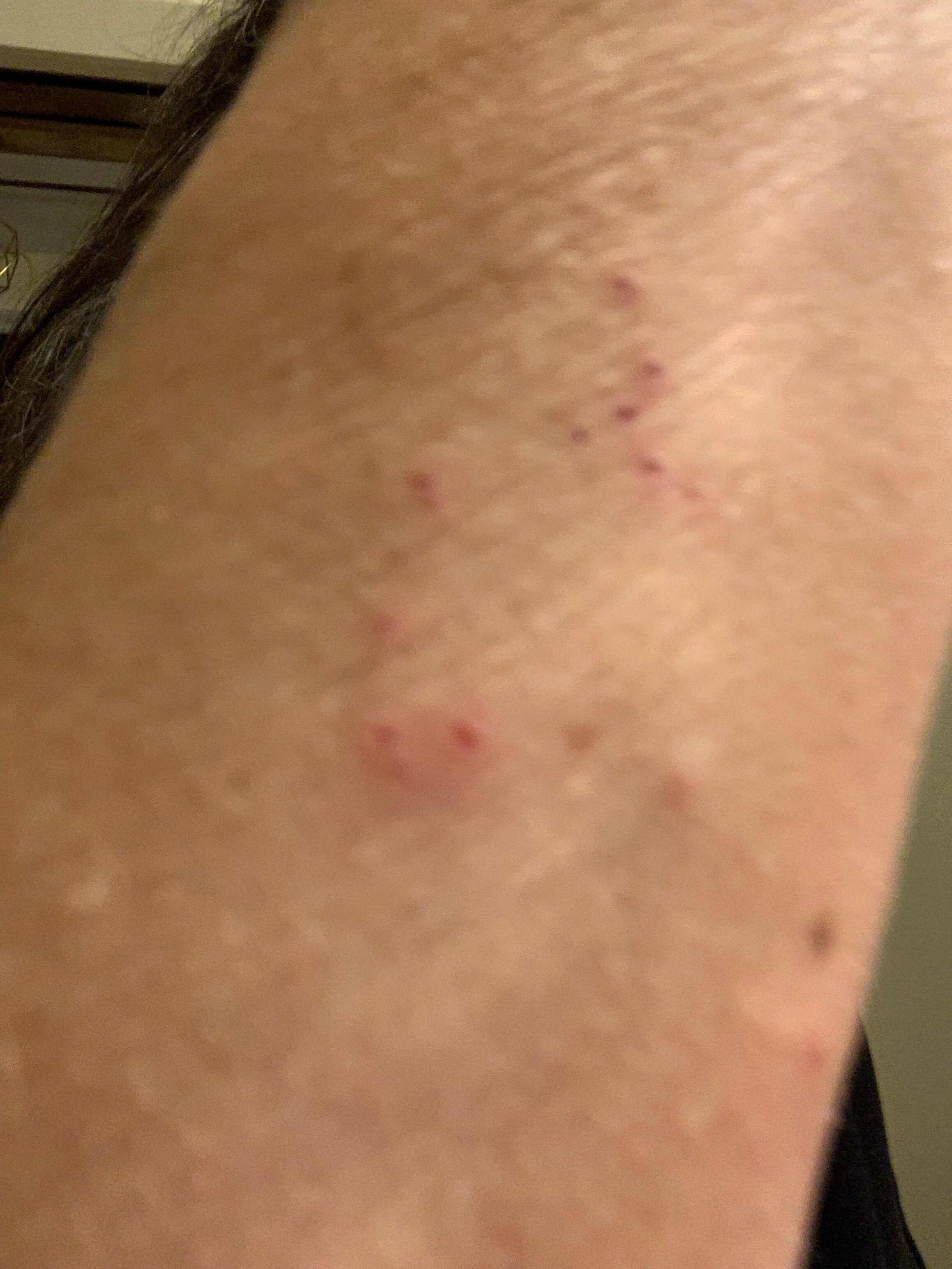 Hotel Duinzicht-官方