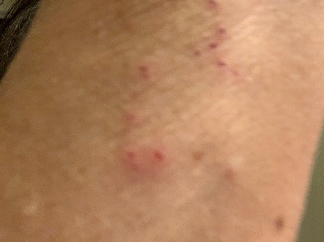 Hotel Duinzicht主图