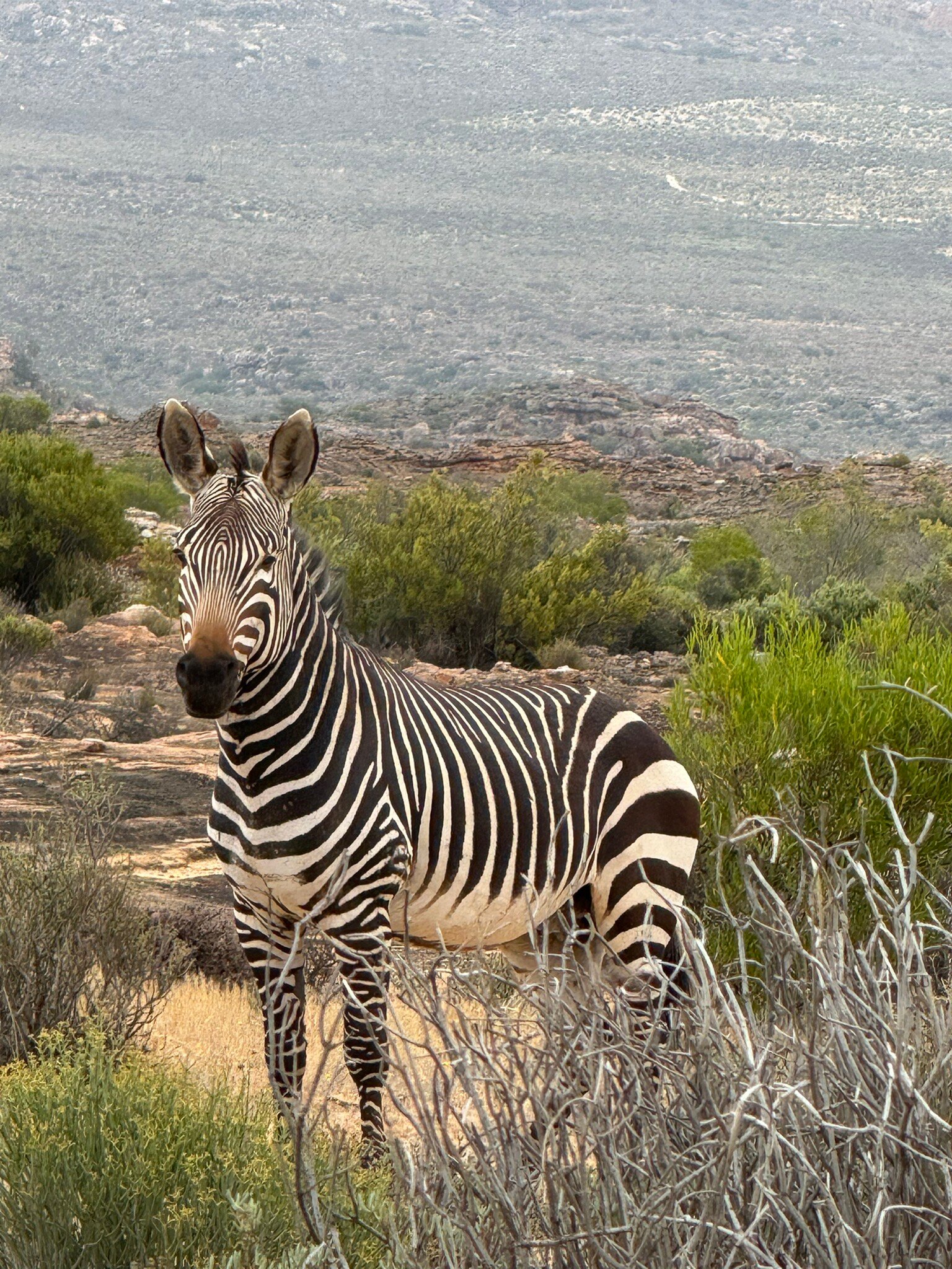 布什曼斯克卢夫郊区酒店-官方