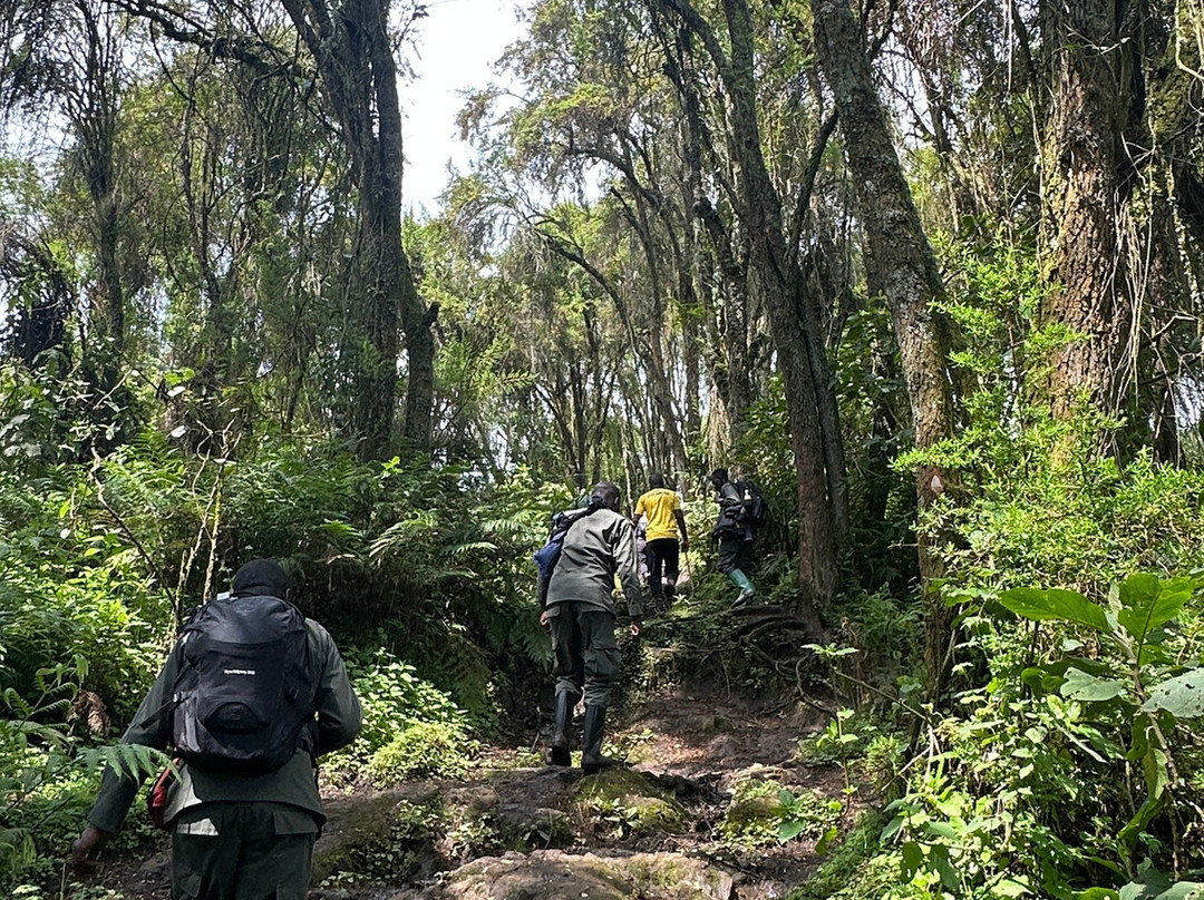 INZOZI Tours-吉佳利必去景点