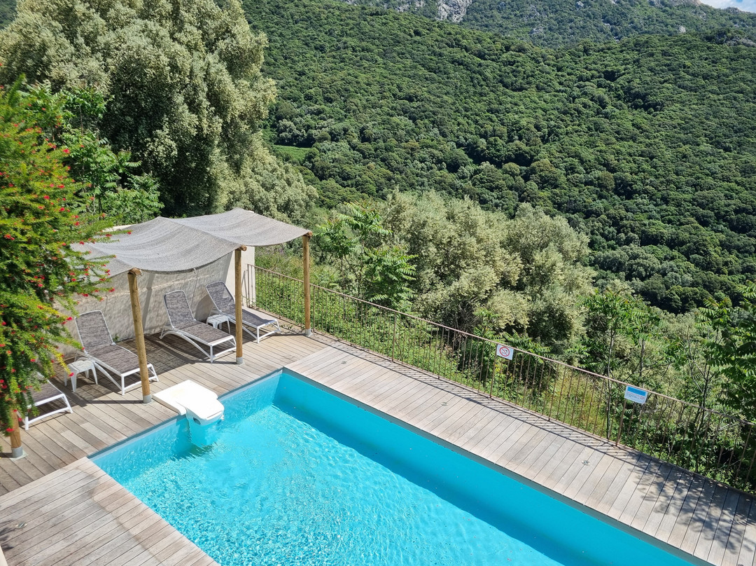Hôtel Villa les Orangers主图