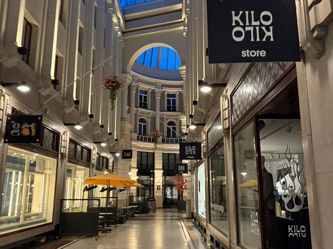 Passage购物街-海牙必去景点