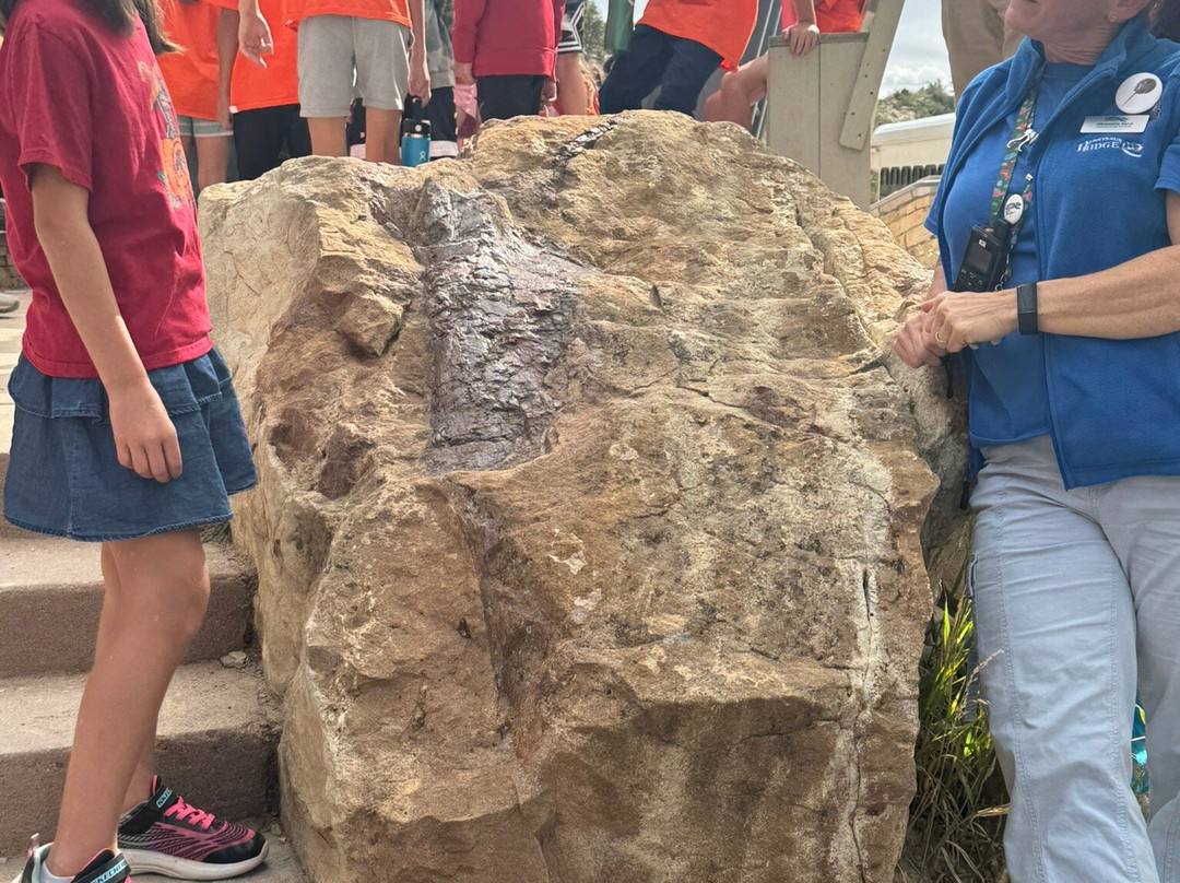 Dinosaur Ridge-Morrison必去景点