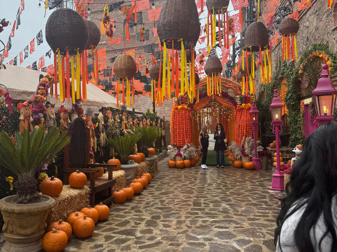 Valle De Vino Tours-Valle de Guadalupe必去景点