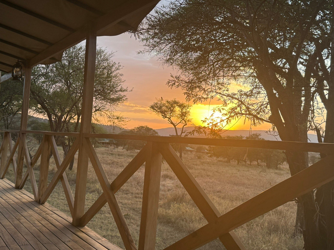 Nature Responsible Safari-阿鲁沙必去景点