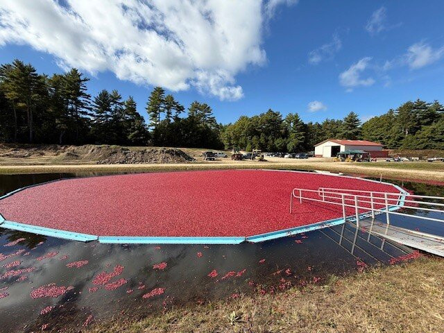 Hartley Family Farm Cranberry Bog Tours-Rochester必去景点