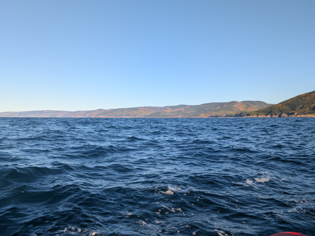 Cabot Trail Guaranteed Whales Adventures-Pleasant Bay必去景点