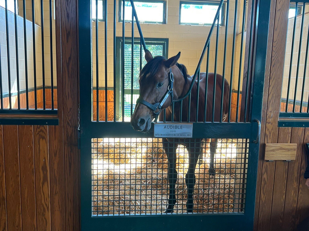 WinStar Farm-Versailles必去景点