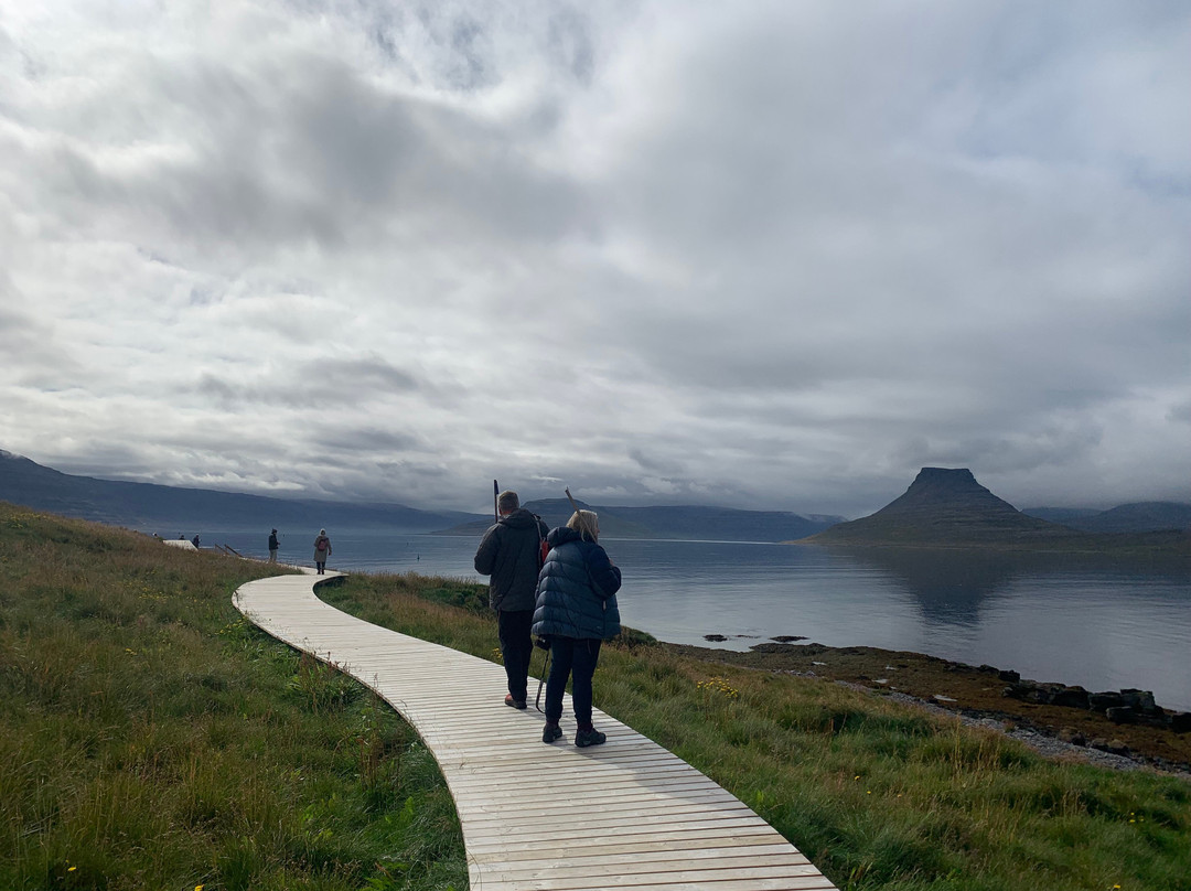 Vigur Island-伊萨菲厄泽必去景点