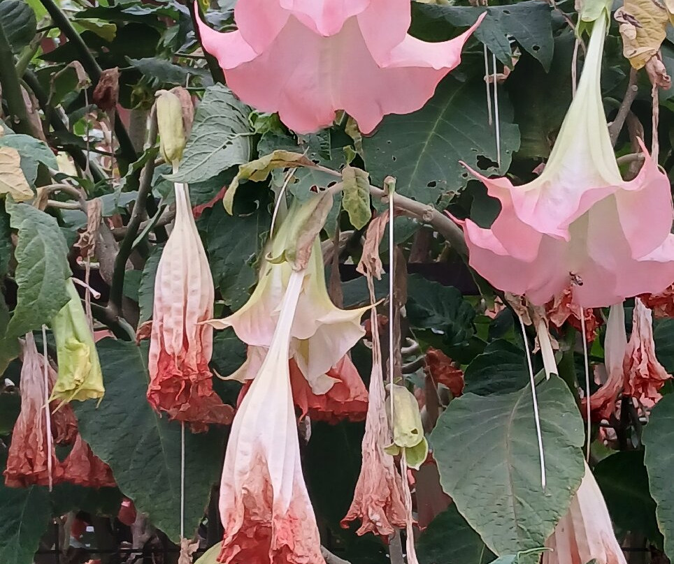 Corfu Golf Club-Ermones必去景点