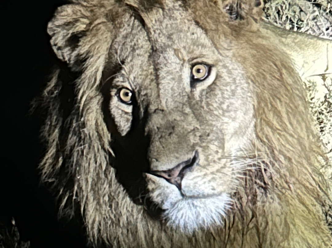 Access2Tanzania-阿鲁沙必去景点