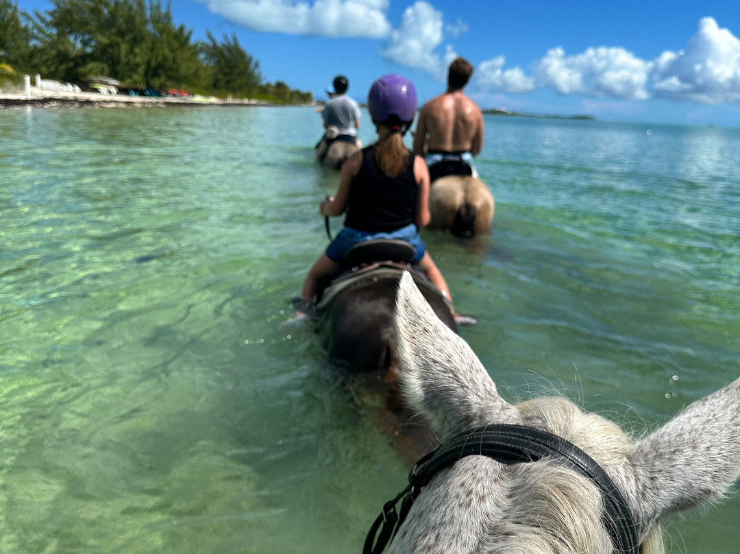 Provo Ponies-Long Bay Hills必去景点