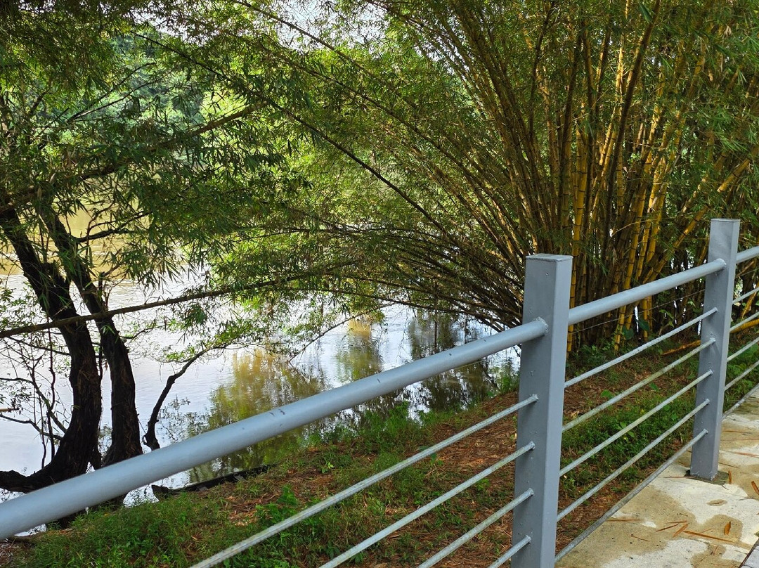 Namami-柯钦必去景点