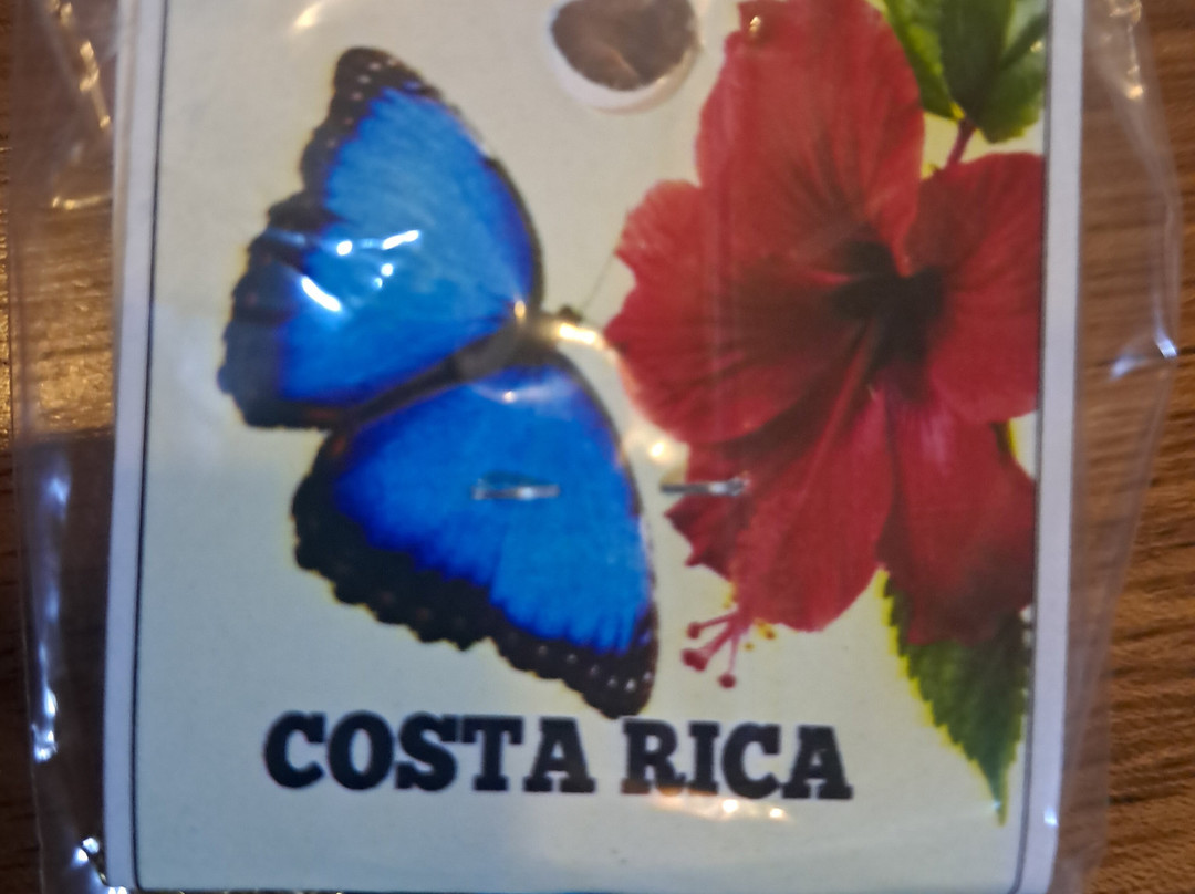 El Jardin Reverente-Nuevo Arenal必去景点