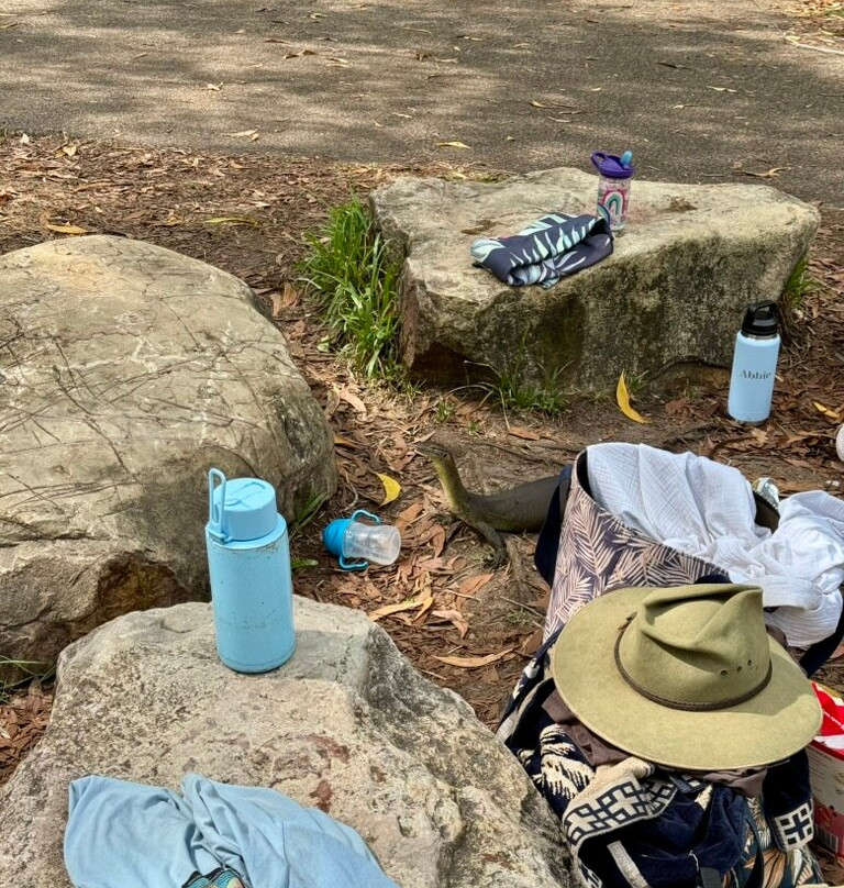 Wangi Falls-Litchfield National Park必去景点