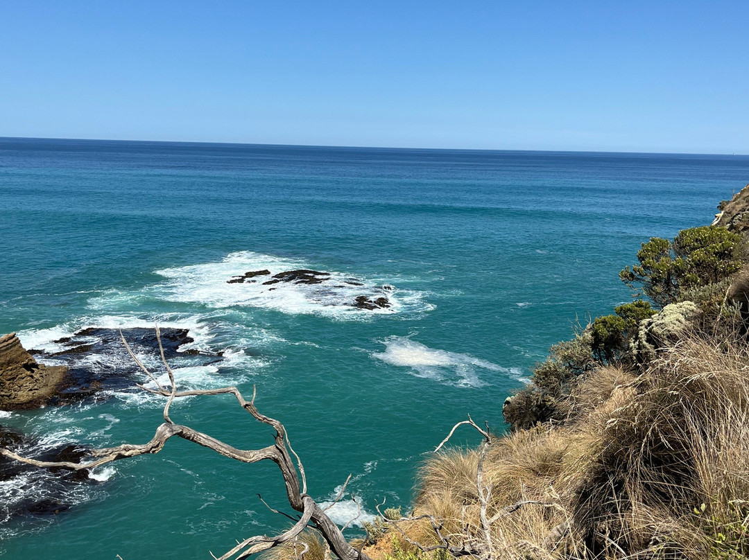 The Razorback-坎贝尔港必去景点