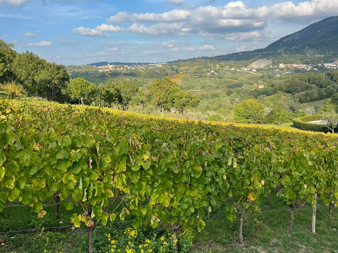 Feudi di San Gregorio-Sorbo Serpico必去景点