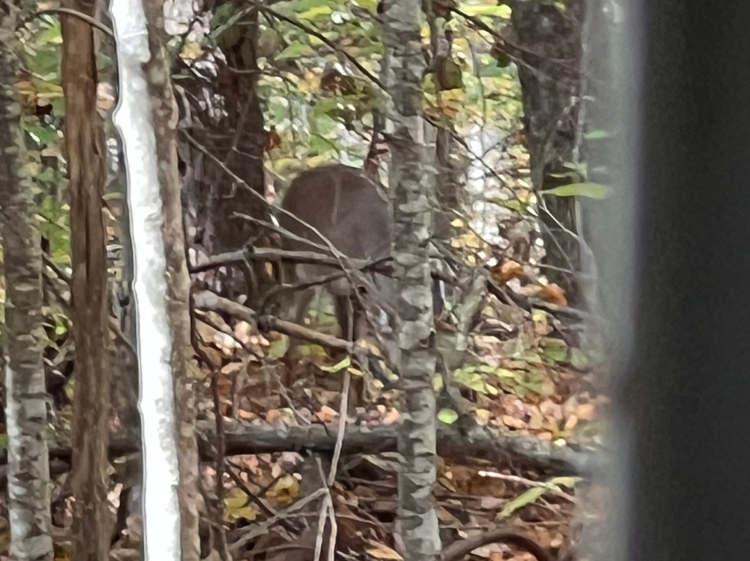 Highlands Outpost-Scaly Mountain必去景点