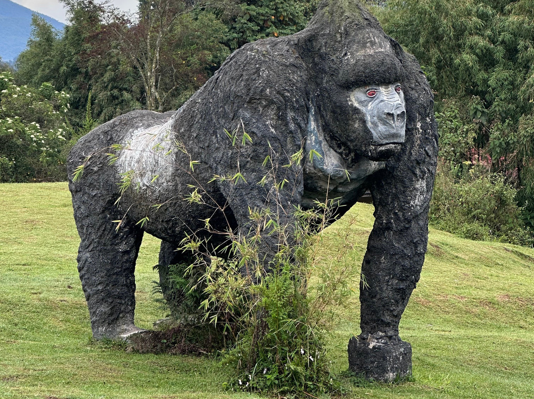 Rwanda Treasure Tours-Kinigi必去景点