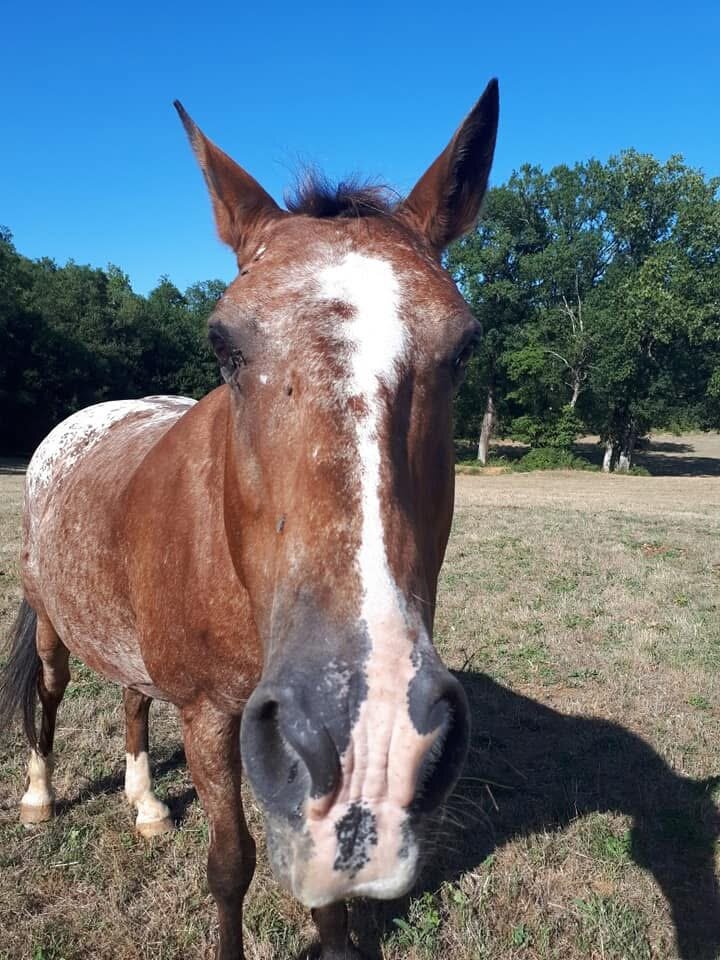 Domaine des Garennes-官方