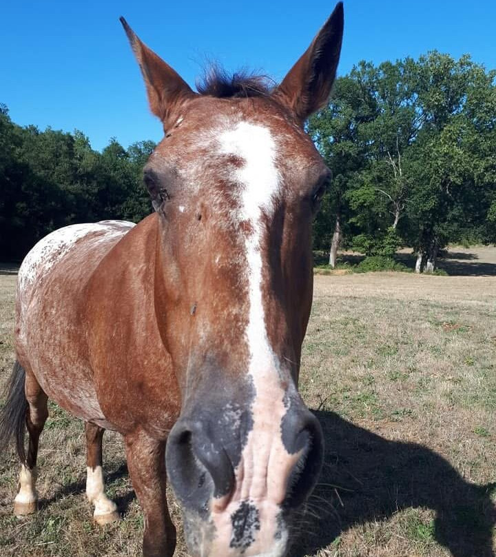 Domaine des Garennes主图