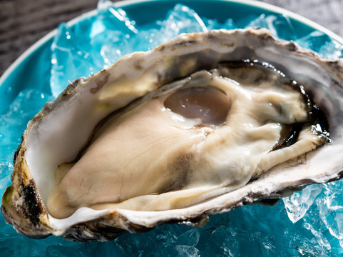 Hakodate Oysters 1854