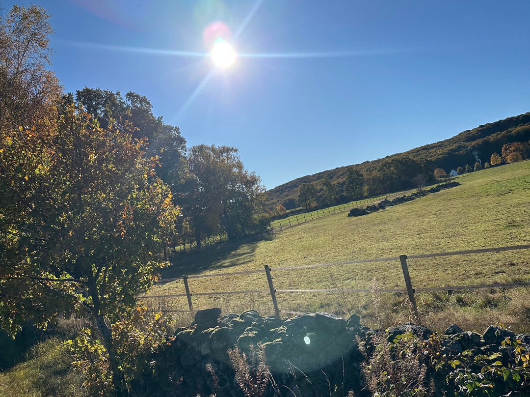 Tostarp Bed'n Ride-Ljungbyhed必去景点