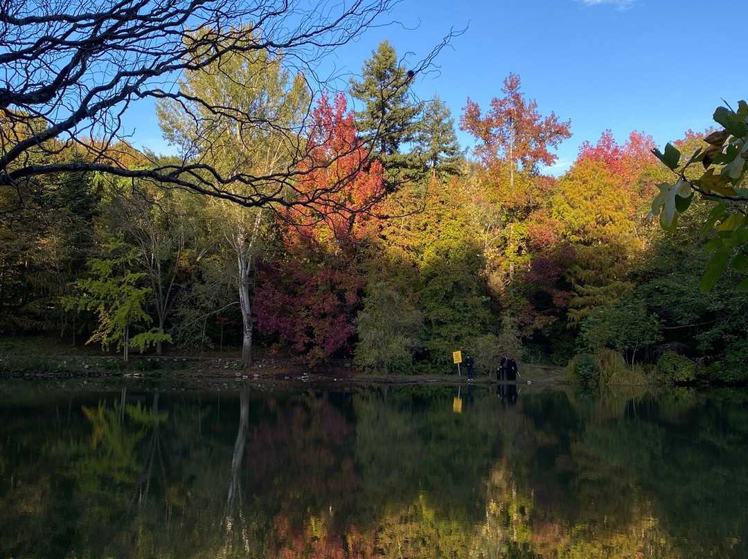 Ataturk Arboretumu-伊斯坦布尔必去景点