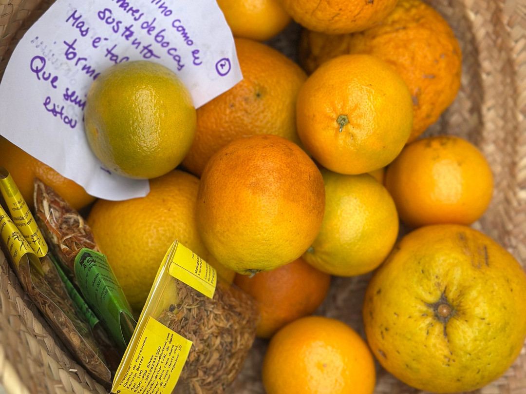 Doçaria do Sul-Silves必去景点