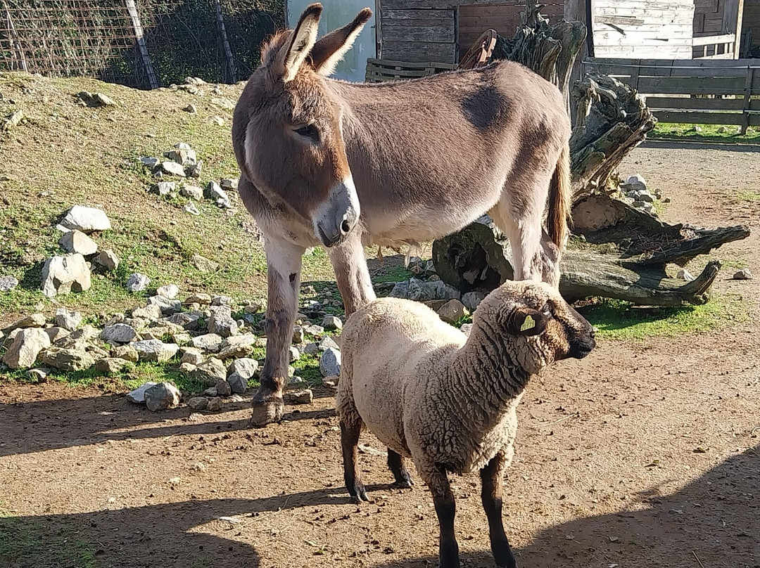 La Ferme Extraordinaire-Donges必去景点