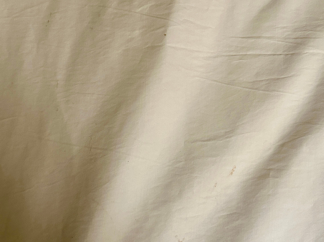 Best Western Plus Burlington主图