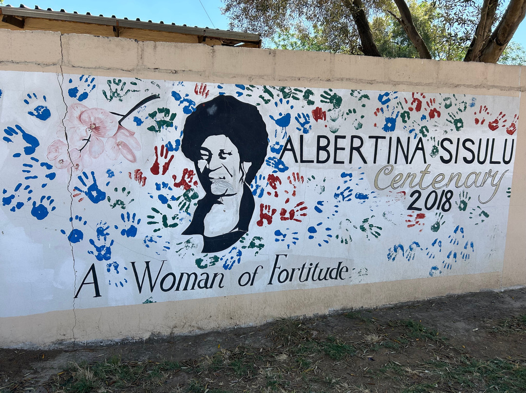 BOOK IBHONI-索韦托必去景点