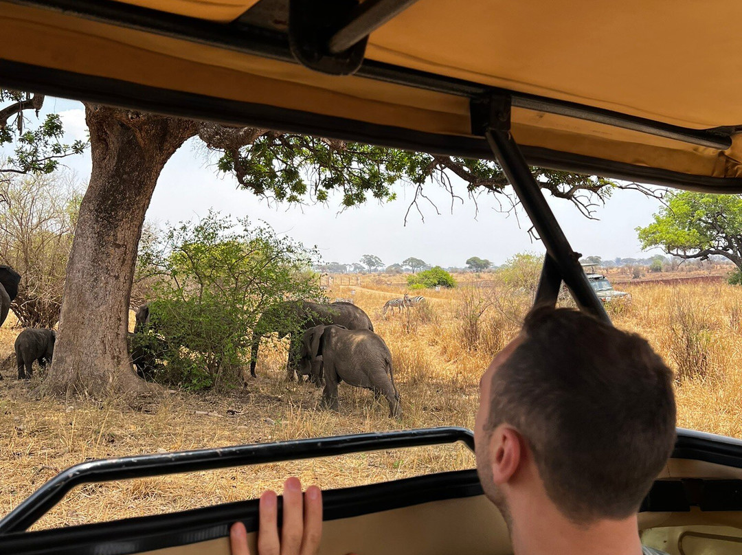 歌珊地非洲游猎之旅-阿鲁沙必去景点